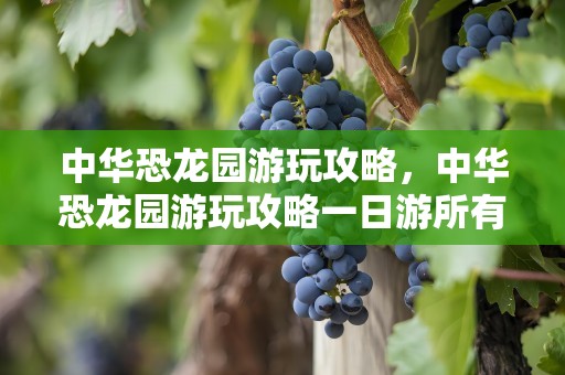 中华恐龙园游玩攻略，中华恐龙园游玩攻略一日游所有项目