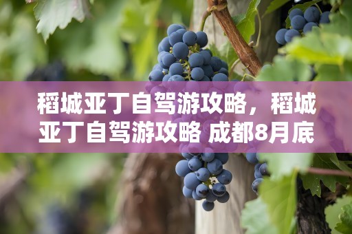 稻城亚丁自驾游攻略，稻城亚丁自驾游攻略 成都8月底