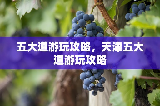 五大道游玩攻略，天津五大道游玩攻略