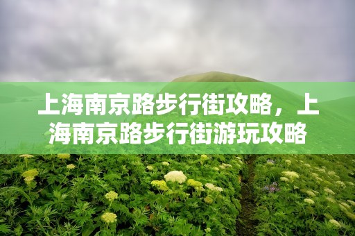 上海南京路步行街攻略，上海南京路步行街游玩攻略