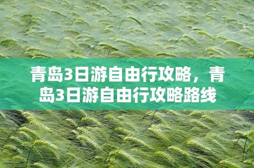 青岛3日游自由行攻略，青岛3日游自由行攻略路线