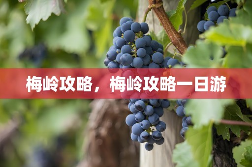 梅岭攻略，梅岭攻略一日游