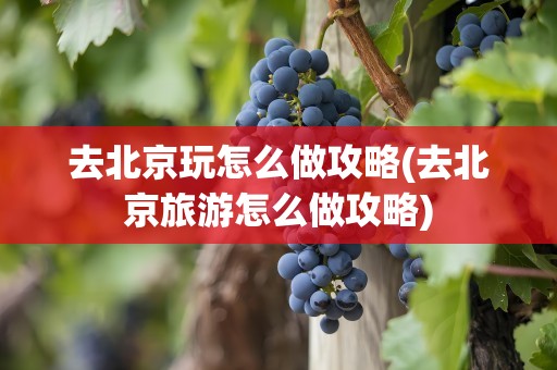 去北京玩怎么做攻略(去北京旅游怎么做攻略)
