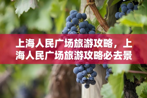 上海人民广场旅游攻略，上海人民广场旅游攻略必去景点
