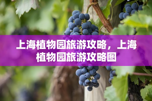 上海植物园旅游攻略，上海植物园旅游攻略图