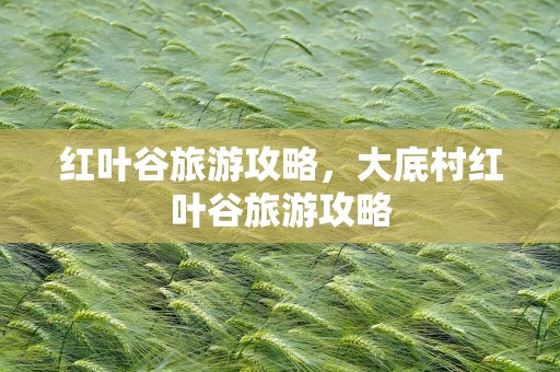 红叶谷旅游攻略，大底村红叶谷旅游攻略