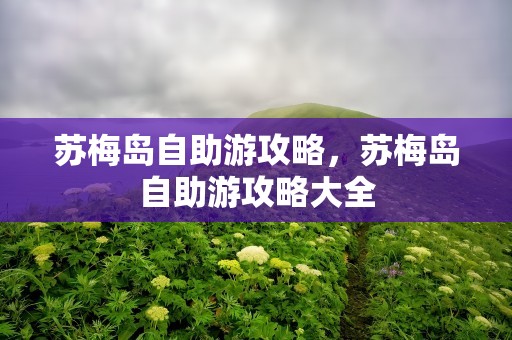 苏梅岛自助游攻略，苏梅岛自助游攻略大全