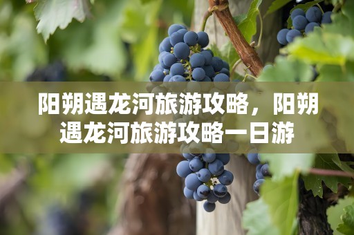 阳朔遇龙河旅游攻略，阳朔遇龙河旅游攻略一日游
