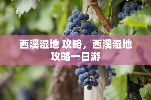 西溪湿地 攻略，西溪湿地攻略一日游