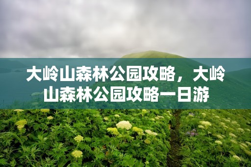 大岭山森林公园攻略，大岭山森林公园攻略一日游
