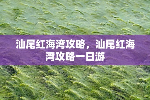 汕尾红海湾攻略，汕尾红海湾攻略一日游