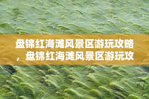 盘锦红海滩风景区游玩攻略，盘锦红海滩风景区游玩攻略图