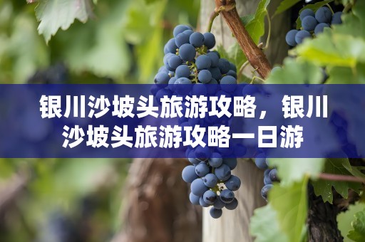 银川沙坡头旅游攻略，银川沙坡头旅游攻略一日游