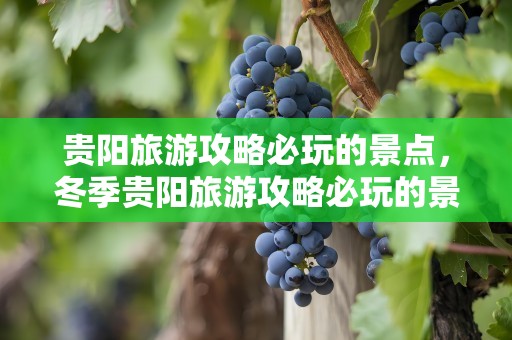 贵阳旅游攻略必玩的景点，冬季贵阳旅游攻略必玩的景点