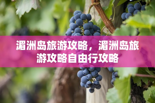 湄洲岛旅游攻略，湄洲岛旅游攻略自由行攻略