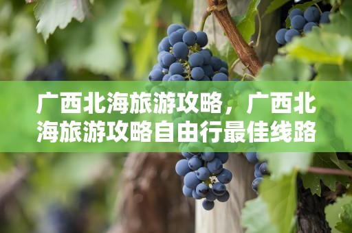 广西北海旅游攻略，广西北海旅游攻略自由行最佳线路