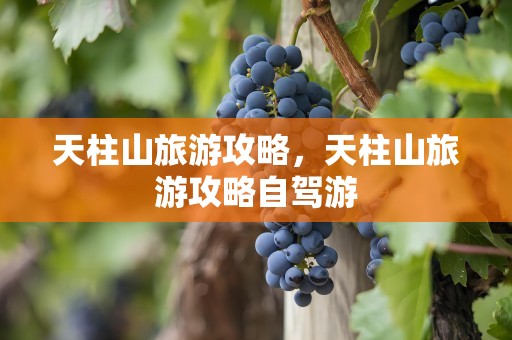 天柱山旅游攻略，天柱山旅游攻略自驾游