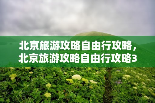 北京旅游攻略自由行攻略，北京旅游攻略自由行攻略3天
