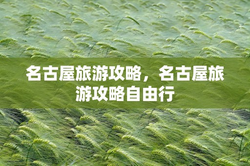 名古屋旅游攻略，名古屋旅游攻略自由行