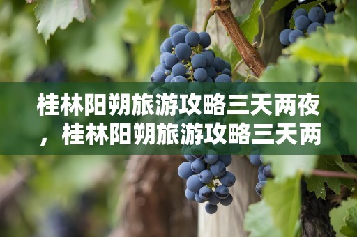 桂林阳朔旅游攻略三天两夜，桂林阳朔旅游攻略三天两夜多少钱