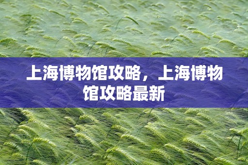 上海博物馆攻略，上海博物馆攻略最新