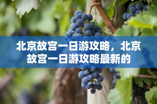 北京故宫一日游攻略，北京故宫一日游攻略最新的