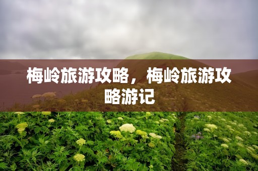 梅岭旅游攻略，梅岭旅游攻略游记