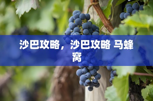沙巴攻略，沙巴攻略 马蜂窝