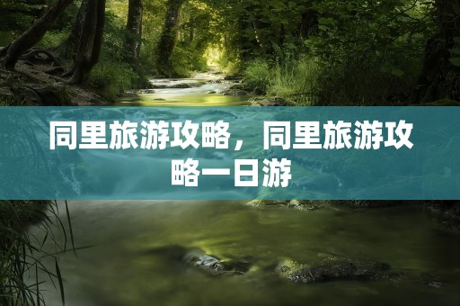 同里旅游攻略，同里旅游攻略一日游