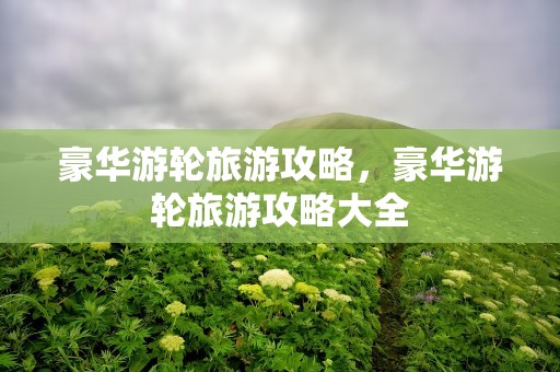 豪华游轮旅游攻略，豪华游轮旅游攻略大全
