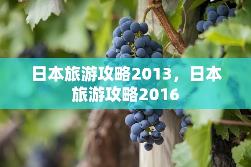 日本旅游攻略2013，日本旅游攻略2016