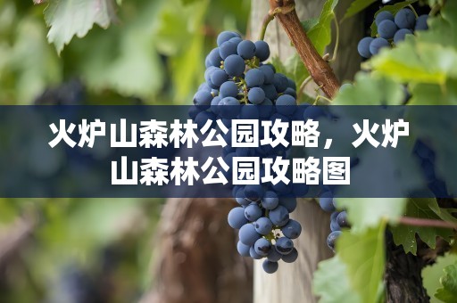 火炉山森林公园攻略，火炉山森林公园攻略图