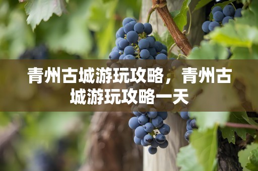 青州古城游玩攻略，青州古城游玩攻略一天