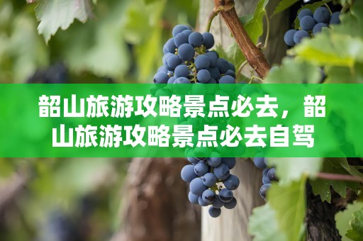 韶山旅游攻略景点必去，韶山旅游攻略景点必去自驾