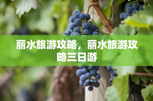 丽水旅游攻略，丽水旅游攻略三日游