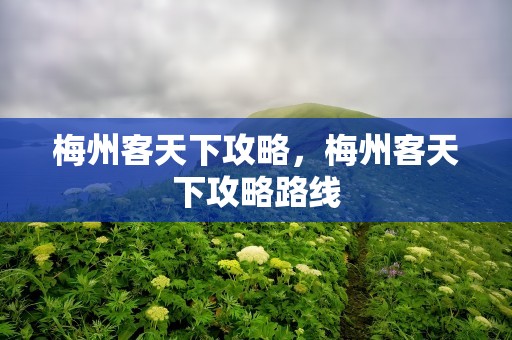 梅州客天下攻略，梅州客天下攻略路线