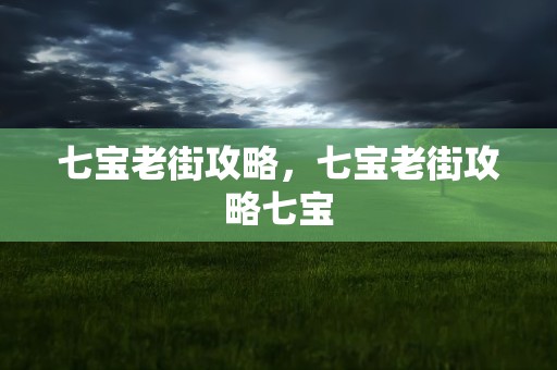 七宝老街攻略，七宝老街攻略七宝