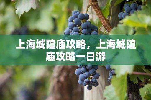 上海城隍庙攻略，上海城隍庙攻略一日游