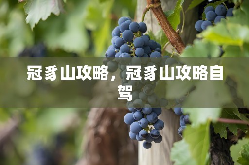 冠豸山攻略，冠豸山攻略自驾