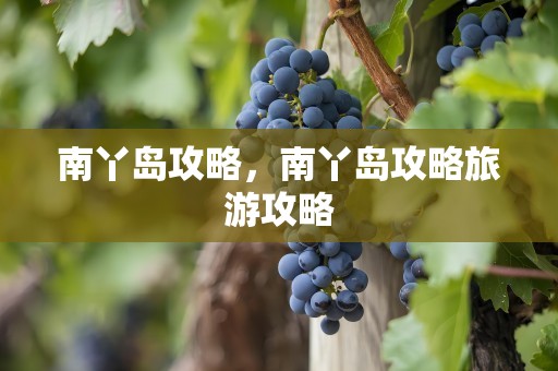 南丫岛攻略，南丫岛攻略旅游攻略