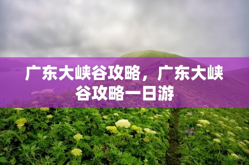 广东大峡谷攻略，广东大峡谷攻略一日游