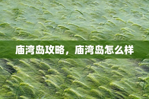 庙湾岛攻略，庙湾岛怎么样