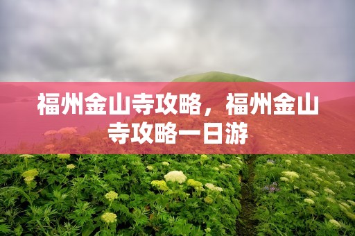 福州金山寺攻略，福州金山寺攻略一日游