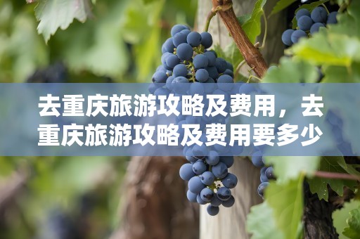 去重庆旅游攻略及费用，去重庆旅游攻略及费用要多少