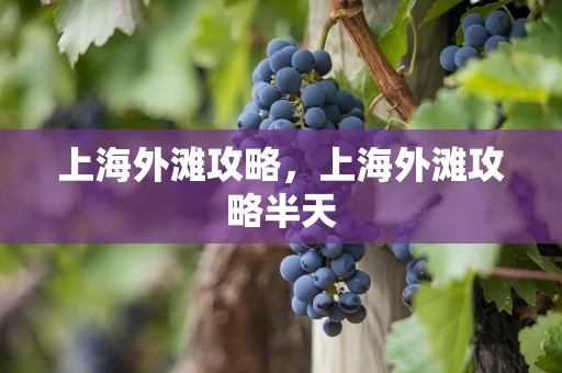 上海外滩攻略，上海外滩攻略半天