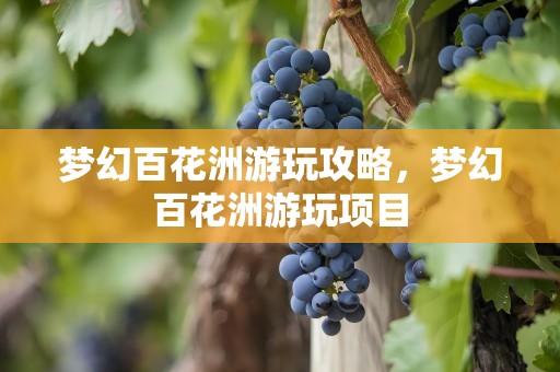 梦幻百花洲游玩攻略，梦幻百花洲游玩项目