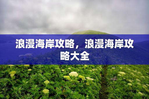 浪漫海岸攻略，浪漫海岸攻略大全