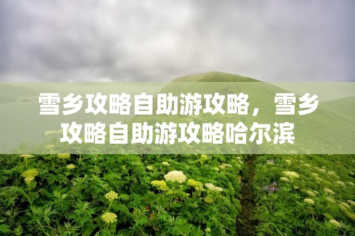 雪乡攻略自助游攻略，雪乡攻略自助游攻略哈尔滨
