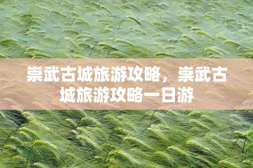 崇武古城旅游攻略，崇武古城旅游攻略一日游