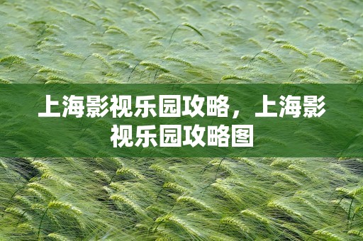 上海影视乐园攻略，上海影视乐园攻略图